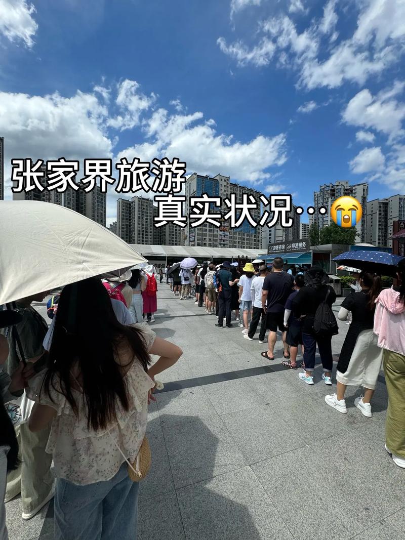 160名老人报旅行团被扔服务区?张家界官方通报