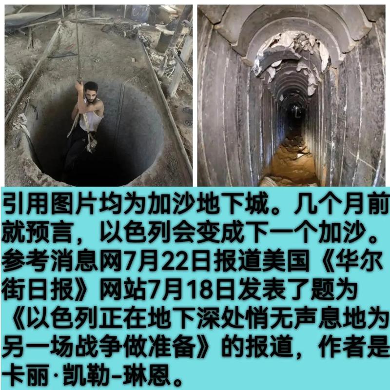欧盟启动民事保护机制协助耶路撒冷山区灭火